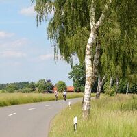 Entspannte Radtour auf verkehrsarmen Straßen
