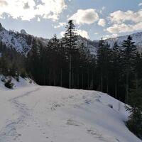 Blick ins Lurgg