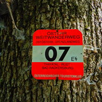 Marz/Rohrbach - Sieggraben