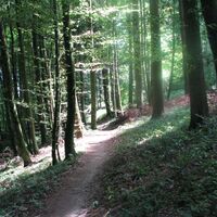 Firstweg