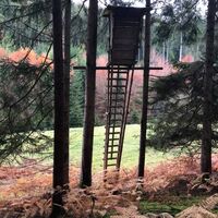 Wanderung Kälbertal im Oktober 2020