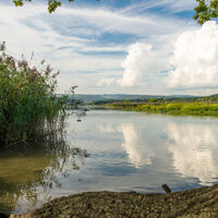 klingnauer-stausee-ufer-mit-wolken