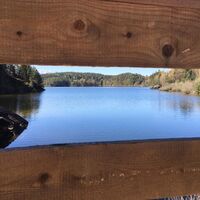 Forstsee