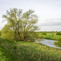 Seeve bei Wuhlenburg