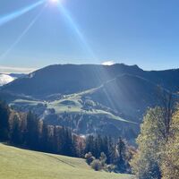 Freithofberg-Trail - Maria Neustift