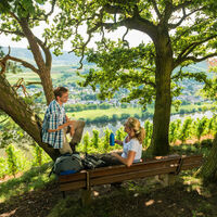 Schattiges Plätzchen auf dem Brauneberg