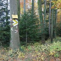 am Weg "Steiniger Weg"