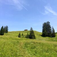 Alp Furggelen