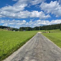 Straße von Mutten nach Trabers