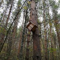 Ukonmäen Naturpfad