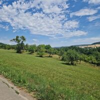 Landschaft bei Gersheim