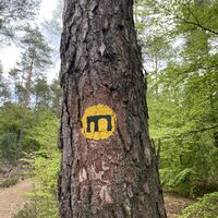 Markierung Leininger Klosterweg
