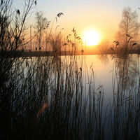 Fischweiher im Gewann Reißer bei Sonnenaufgang