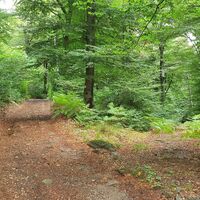 Rechts Single hinunter zur Brocchetta di Noogh