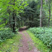 Empfehlenswert an heißen Tagen