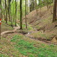 Steinbachklamm, Oststeiermark