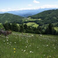 almwiese-hinterm-haus-mit-fernblick