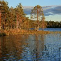 Iso-Palonen im Herbst