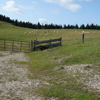 1. Weidezaunüberstieg am Rückweg