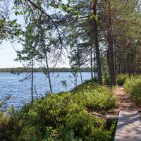 Der Weg führt direkt am Ufer des Teiches entlang