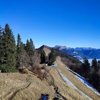 Rückweg zum Zwölferhorn, hi Schafberg