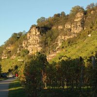 Terrassenweinberge bei Lauffen am Neckar | HeilbronnerLand