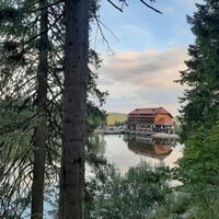 Blick auf den sagenumwobenen Mummelsee