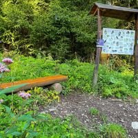 WaldAktivPfad am Wanderbaren M