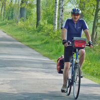 Mehrere Radfahrer auf einem asphaltierten Weg