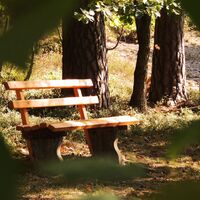 A BANKERL gibts überall,.. (Copyright: Karl Gradwohl)