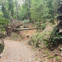 Trail zur Alpe Vicania