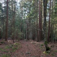 Westabstieg nach Libínské Sedlo