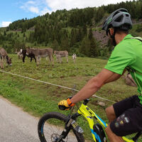 San Pellegrino - San Pellegrino Radweg - ©Archivio APT Val di Fassa - SanPellegrino Skiarea
