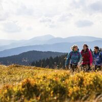 Wandergruppe im Hochschwarzwald
