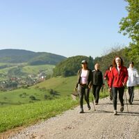 Nordic-Walking im gastfreundlichen Kinzigtal