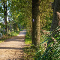 Wanderweg am Nettebruch