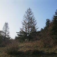 Dreistätten - Hergottschnitzerhaus - Kohlröserlhaus