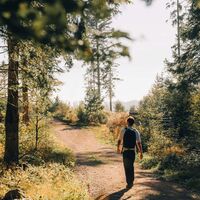 Wanderer auf dem Rappenfelsensteig