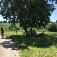 Rundweg am Seeburger See