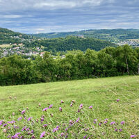 Elbersdörfer 8
