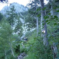 Aufstieg am Naturfreundesteig