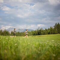 Am King Dachstein Trail in Bad Mitterndorf