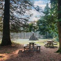Picknickplatz unter Mammutbäumen im Streitwald am Jagststeig