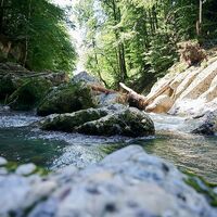 Die Engenlochschlucht in Hittisau