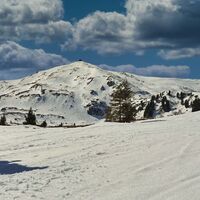 Schneeschuhwandern im weitläufigen Kar