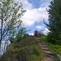 Schüpfeflue - Zollhaus-Gurnigel Trailrun