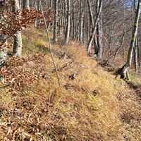 Aufstieg zur Spitzmauer