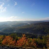 Blick über den Urwald vor den Toren der Stadt