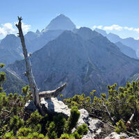 [ M.te Sciober grande ] Am Monte Sciober grande, 1.845m
