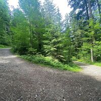 Über den Rotenberg zurück nach Lingenau